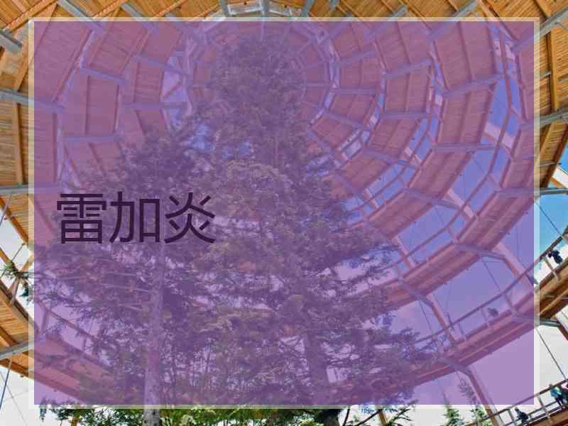 雷加炎