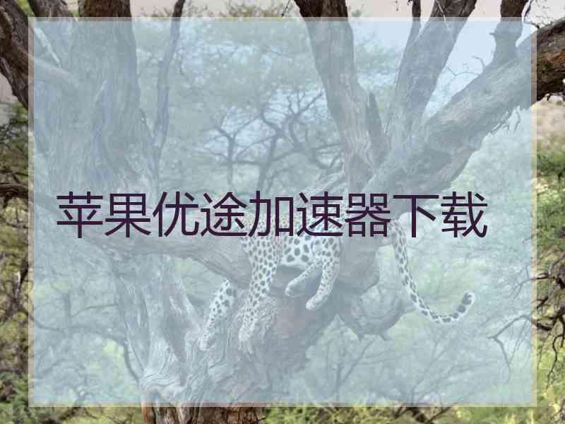 苹果优途加速器下载