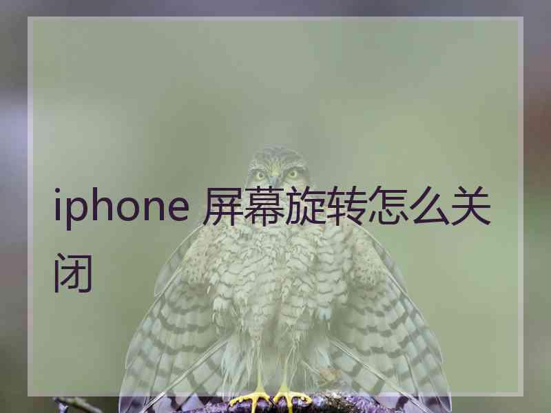 iphone 屏幕旋转怎么关闭