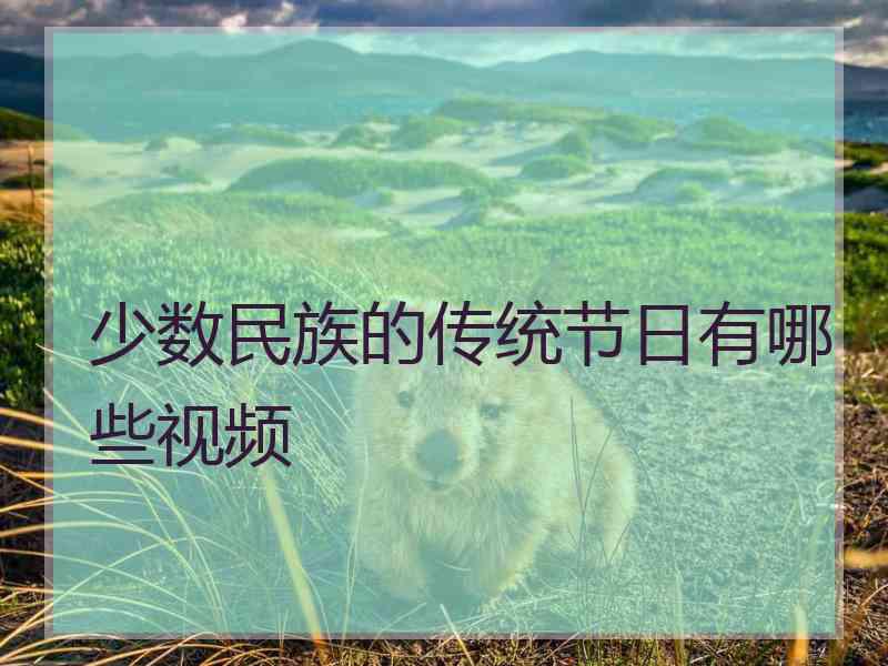 少数民族的传统节日有哪些视频
