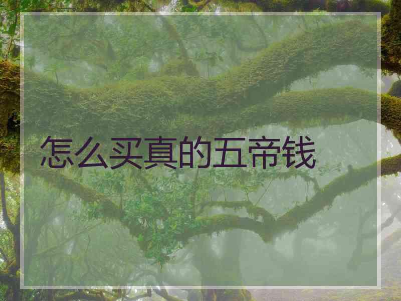 怎么买真的五帝钱