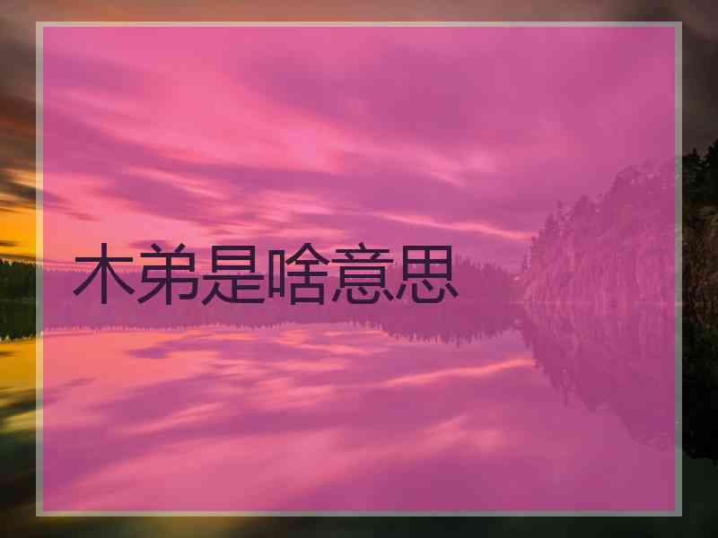 木弟是啥意思
