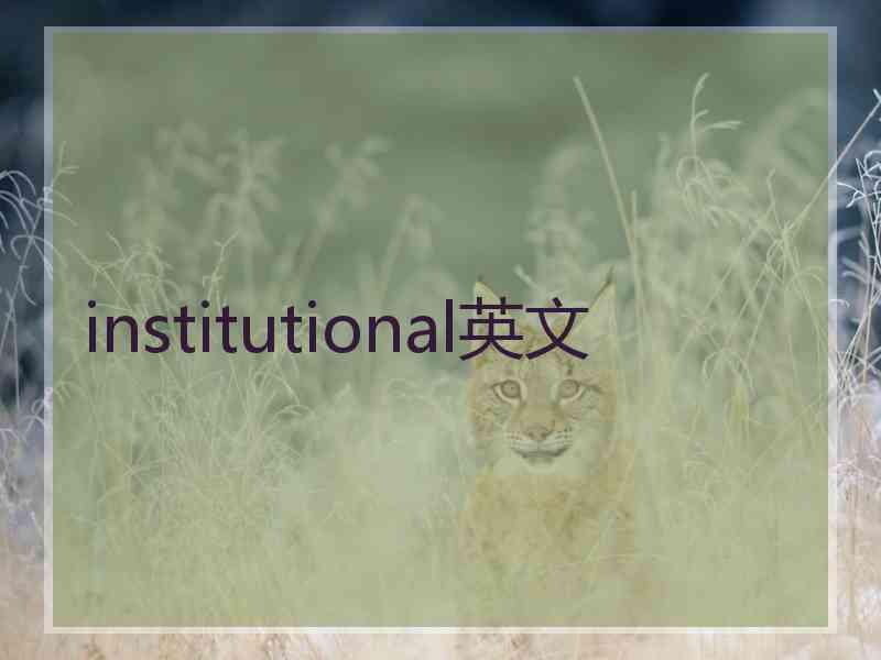 institutional英文