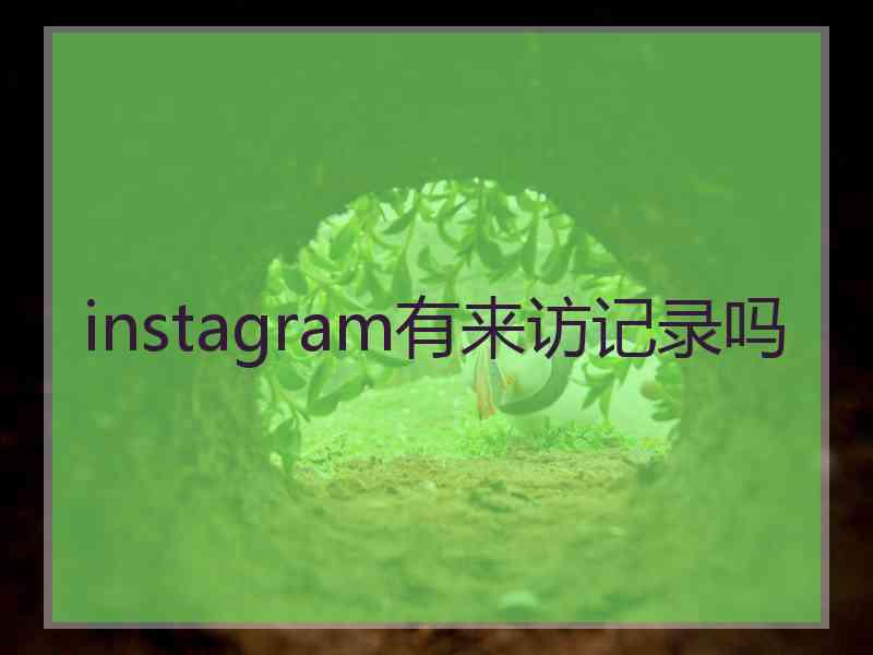 instagram有来访记录吗