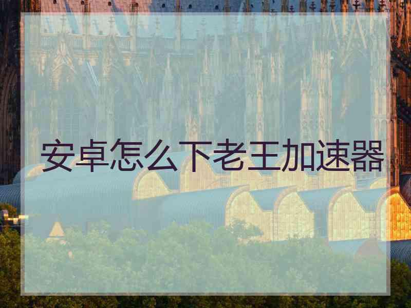 安卓怎么下老王加速器