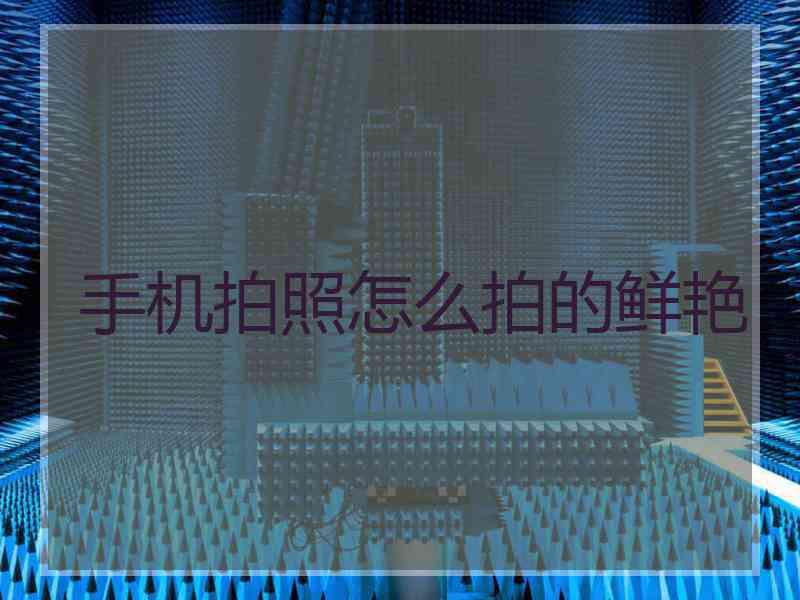 手机拍照怎么拍的鲜艳