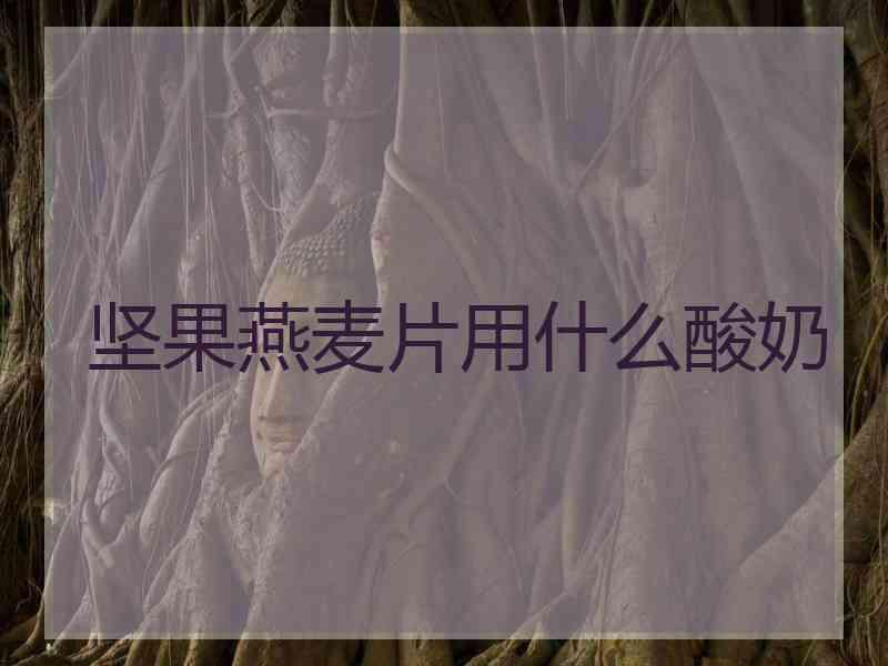 坚果燕麦片用什么酸奶
