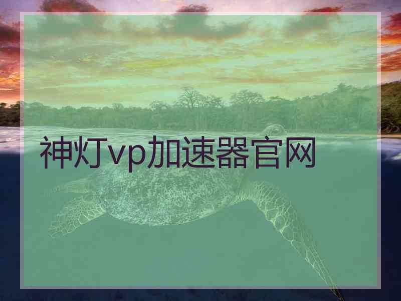 神灯vp加速器官网