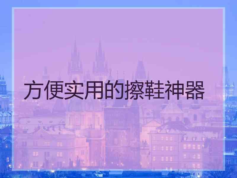 方便实用的擦鞋神器