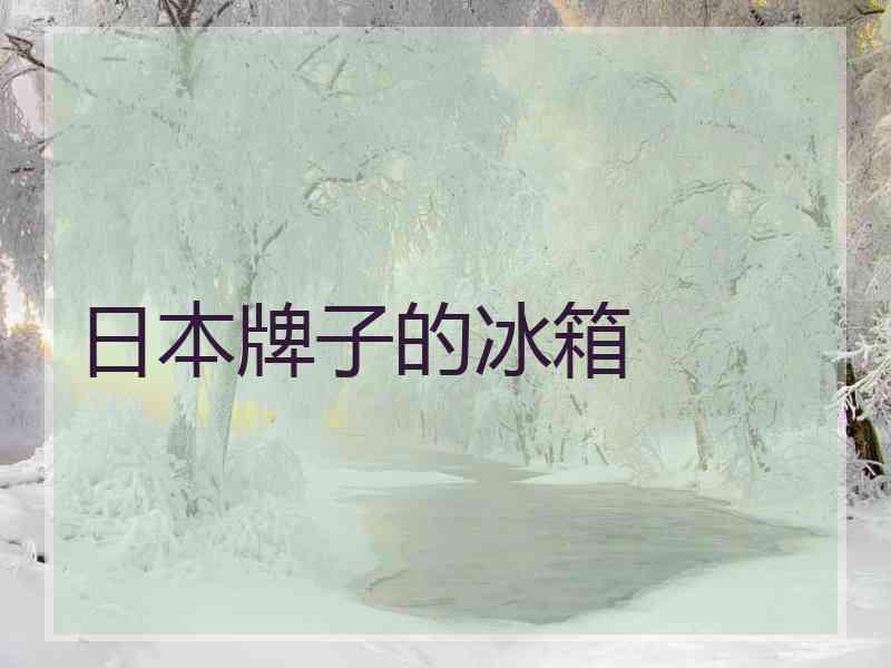 日本牌子的冰箱