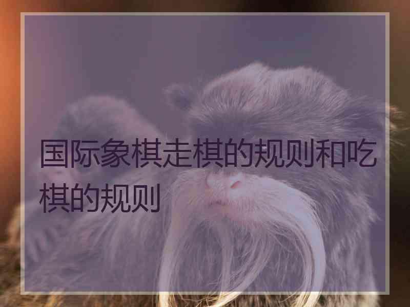 国际象棋走棋的规则和吃棋的规则