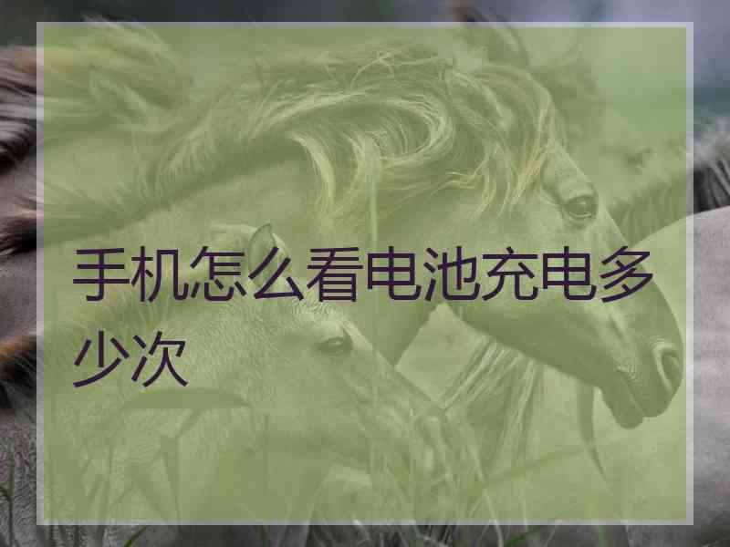 手机怎么看电池充电多少次