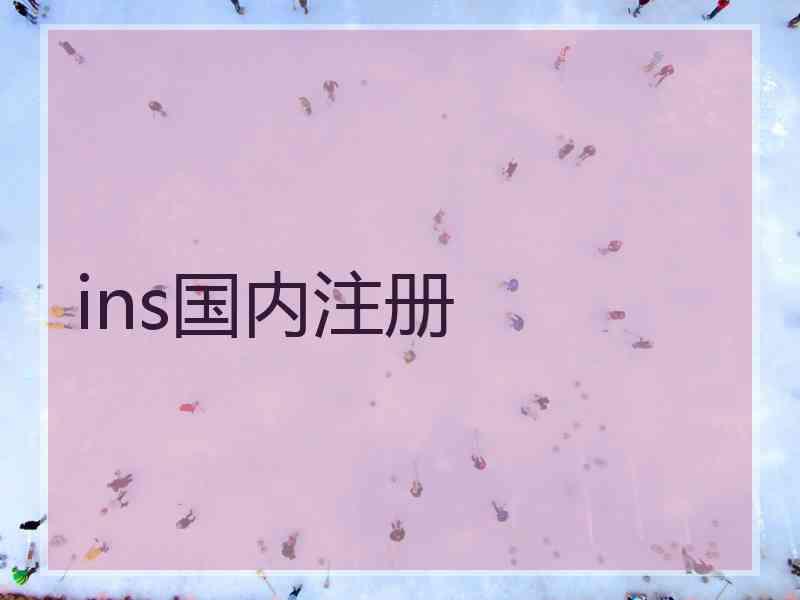 ins国内注册
