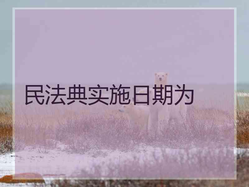 民法典实施日期为