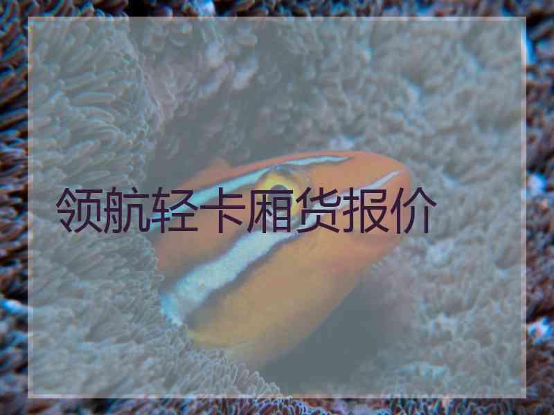 领航轻卡厢货报价