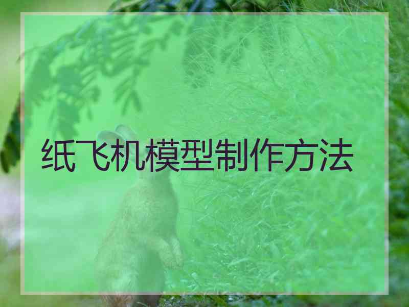 纸飞机模型制作方法
