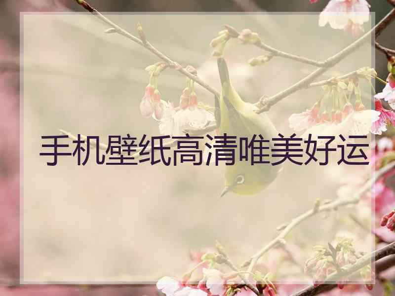 手机壁纸高清唯美好运