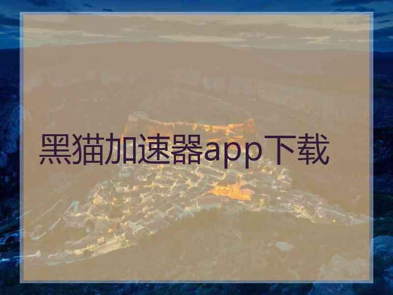 黑猫加速器app下载