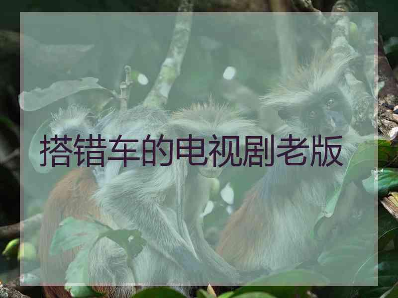 搭错车的电视剧老版