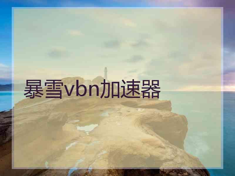暴雪vbn加速器