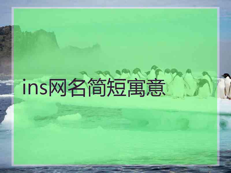 ins网名简短寓意