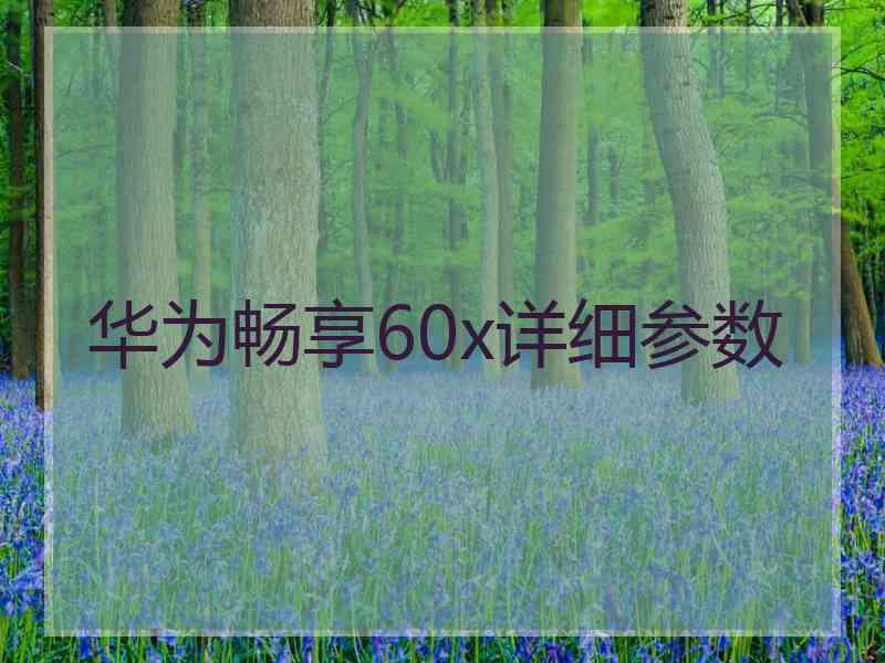 华为畅享60x详细参数