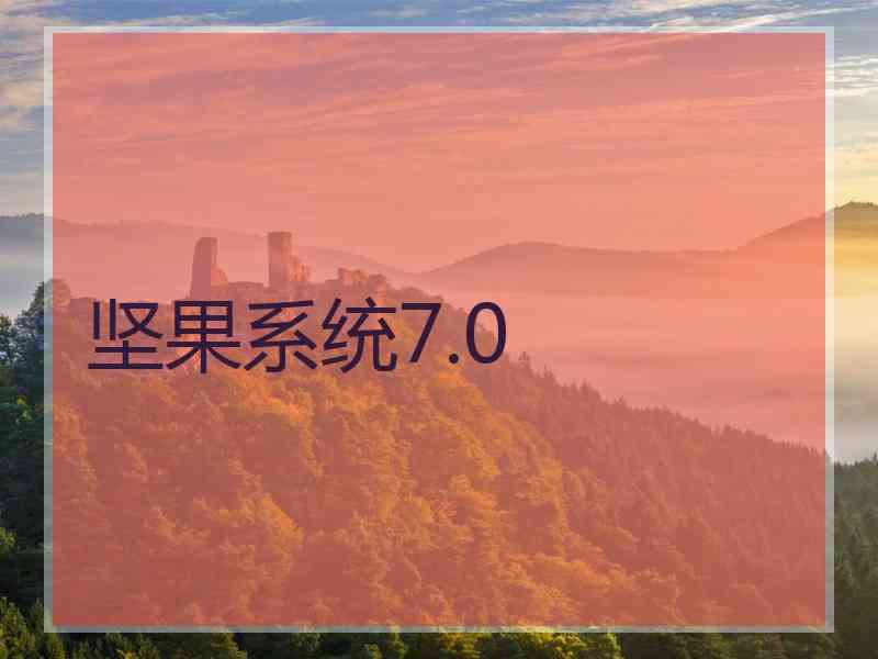 坚果系统7.0