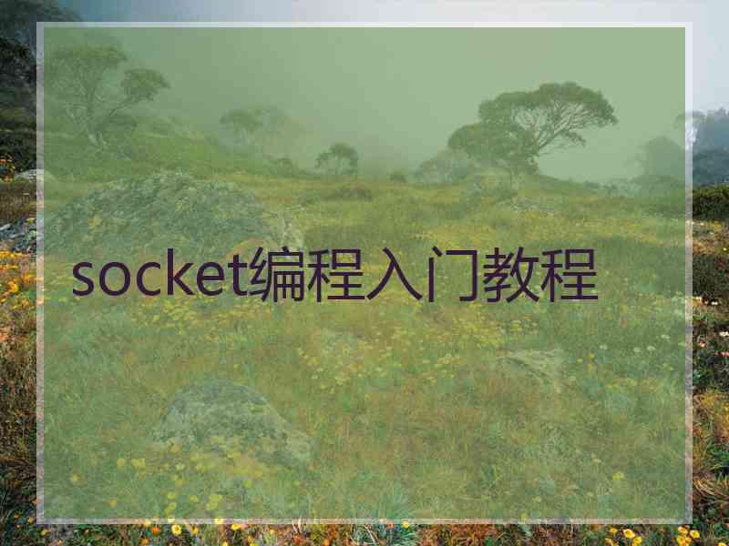 socket编程入门教程