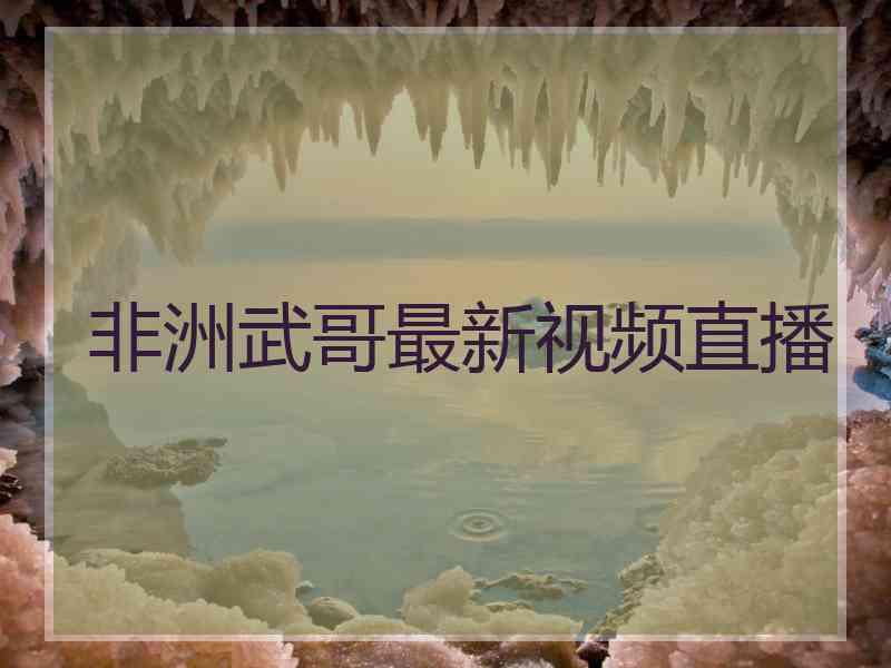 非洲武哥最新视频直播