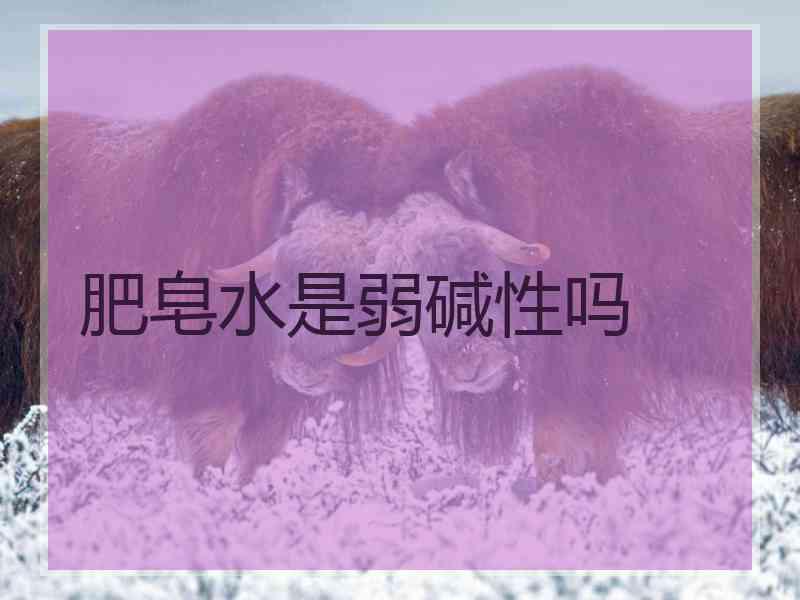 肥皂水是弱碱性吗
