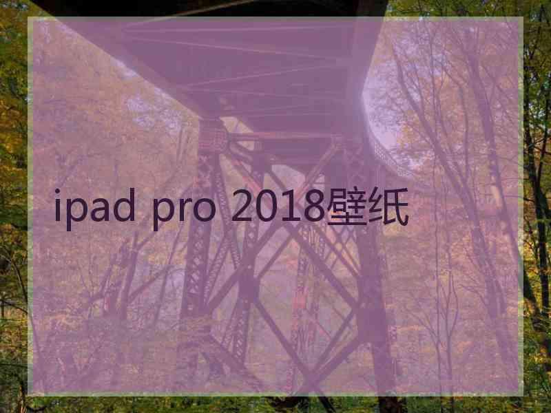 ipad pro 2018壁纸