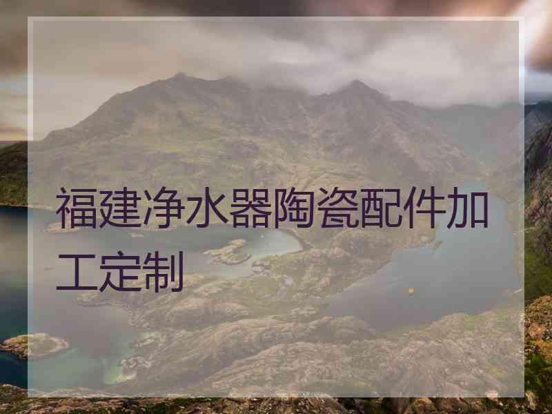 福建净水器陶瓷配件加工定制