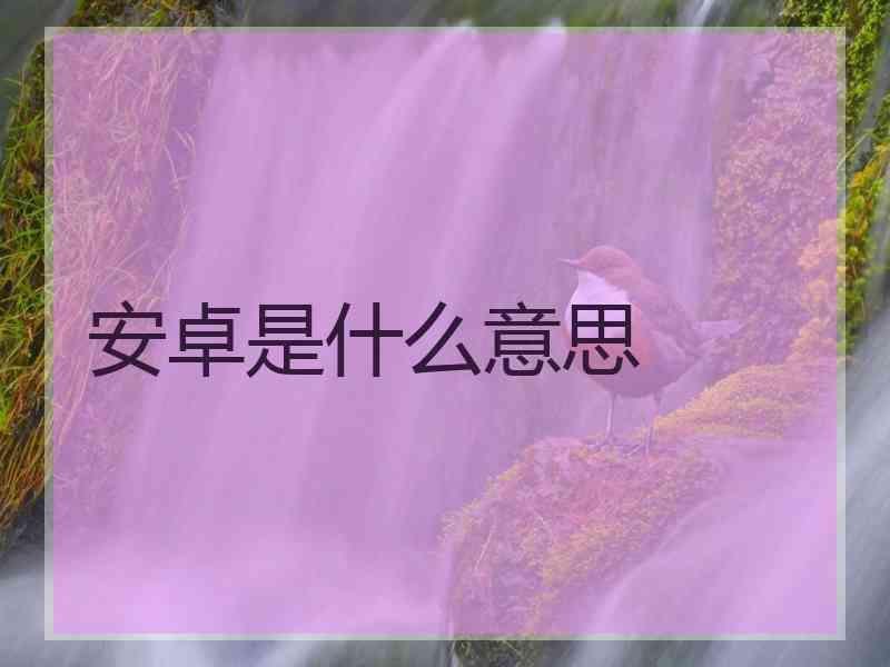 安卓是什么意思