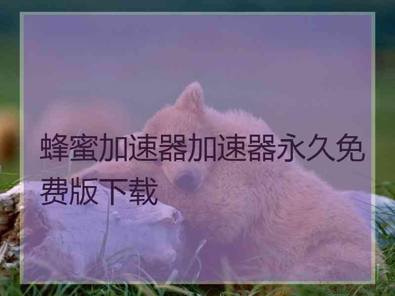 蜂蜜加速器加速器永久免费版下载