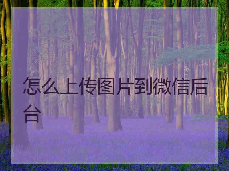 怎么上传图片到微信后台