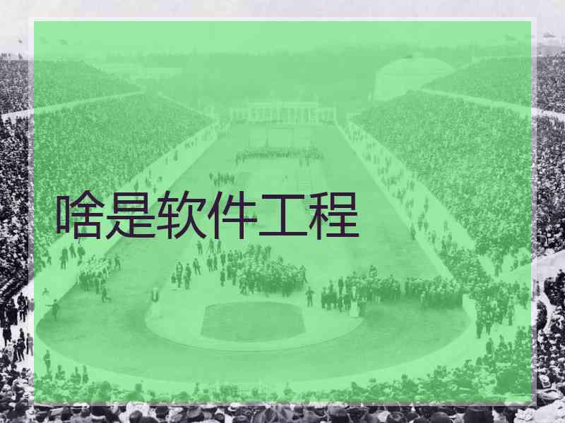 啥是软件工程