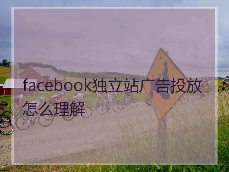 facebook独立站广告投放怎么理解