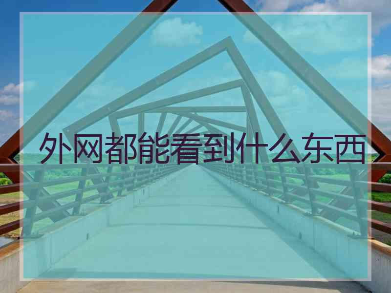 外网都能看到什么东西