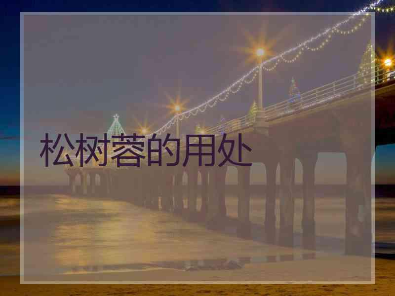 松树蓉的用处