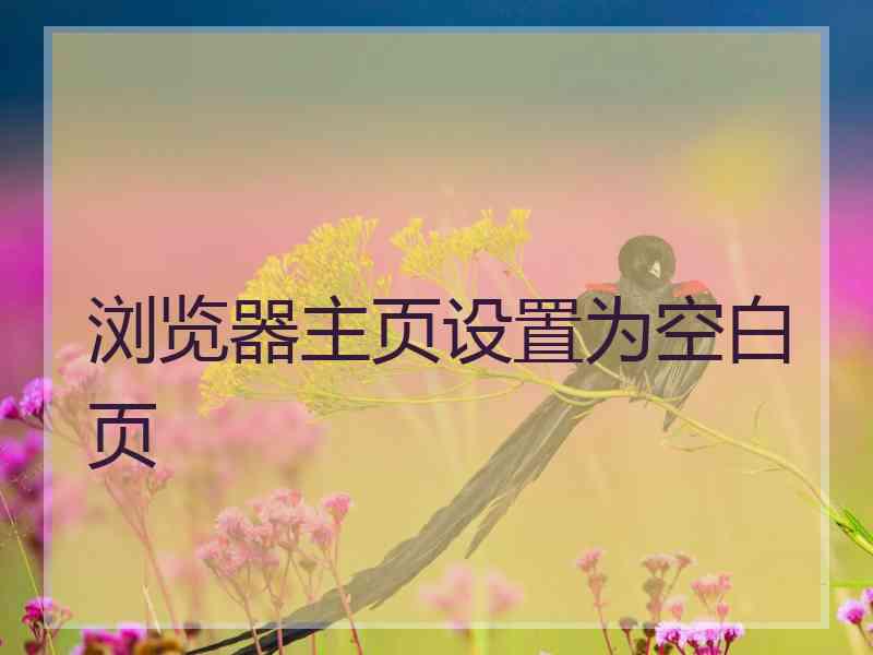 浏览器主页设置为空白页