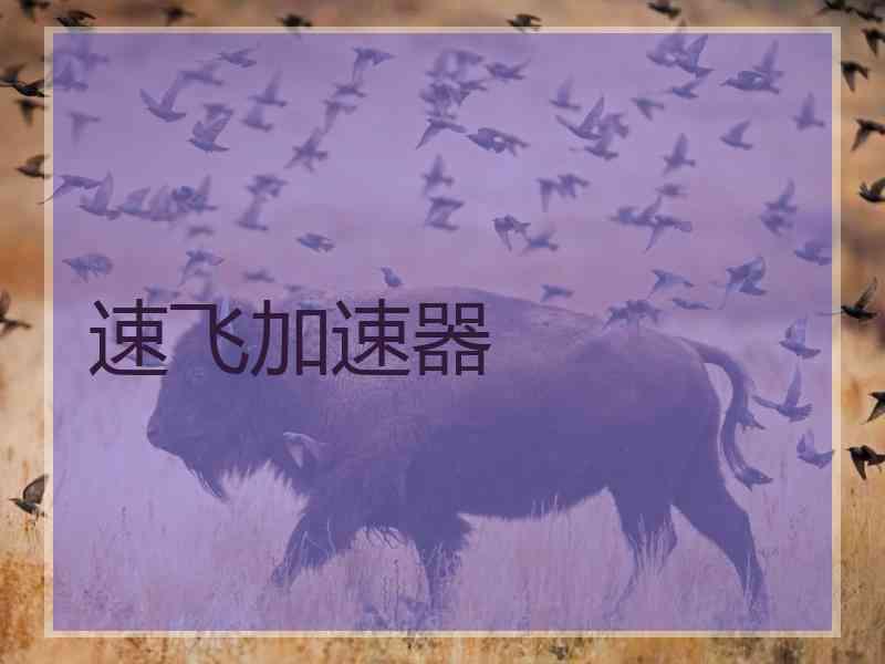 速飞加速器