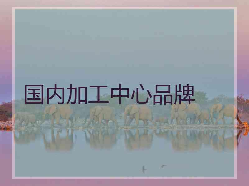 国内加工中心品牌
