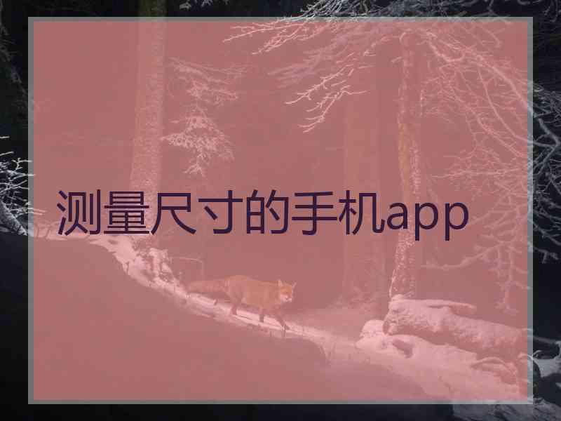 测量尺寸的手机app
