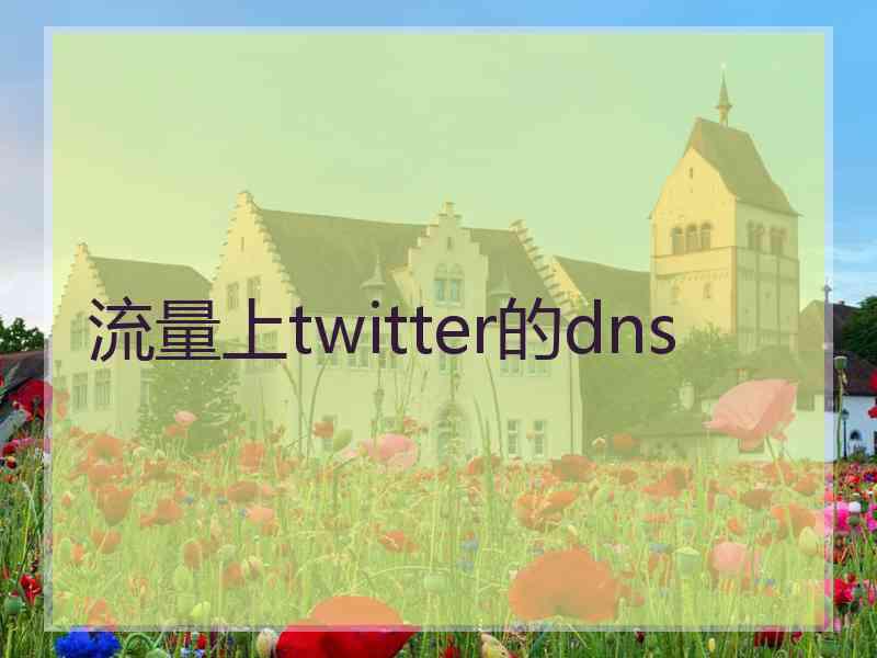 流量上twitter的dns