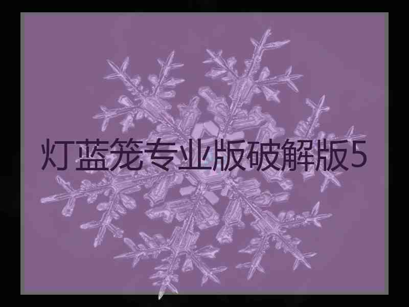 灯蓝笼专业版破解版5