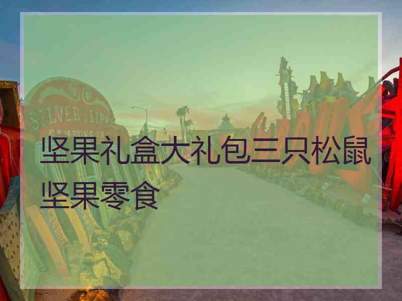 坚果礼盒大礼包三只松鼠坚果零食