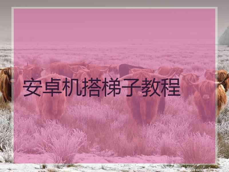 安卓机搭梯子教程