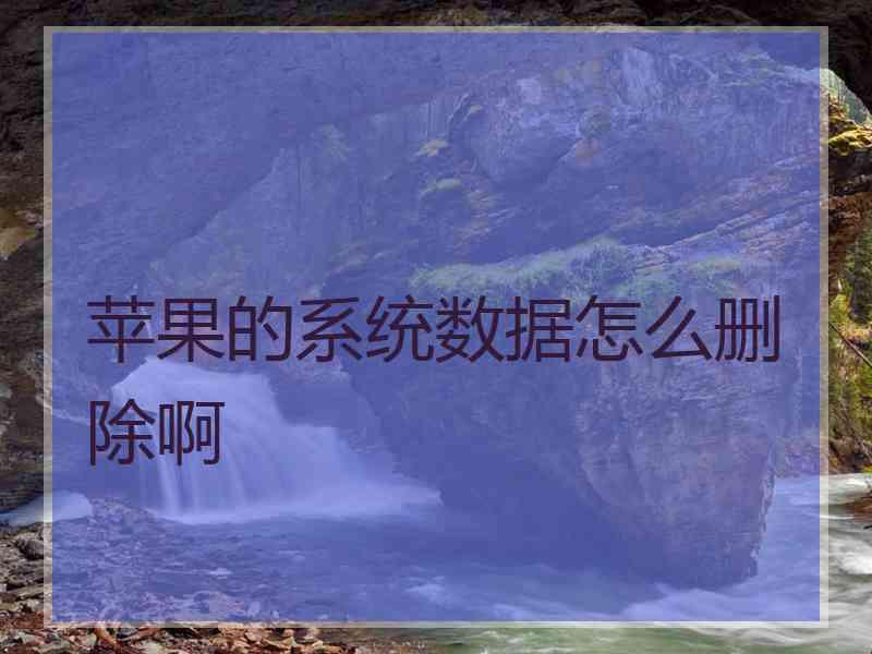 苹果的系统数据怎么删除啊