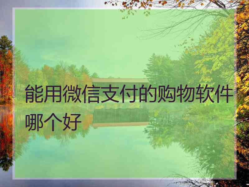 能用微信支付的购物软件哪个好