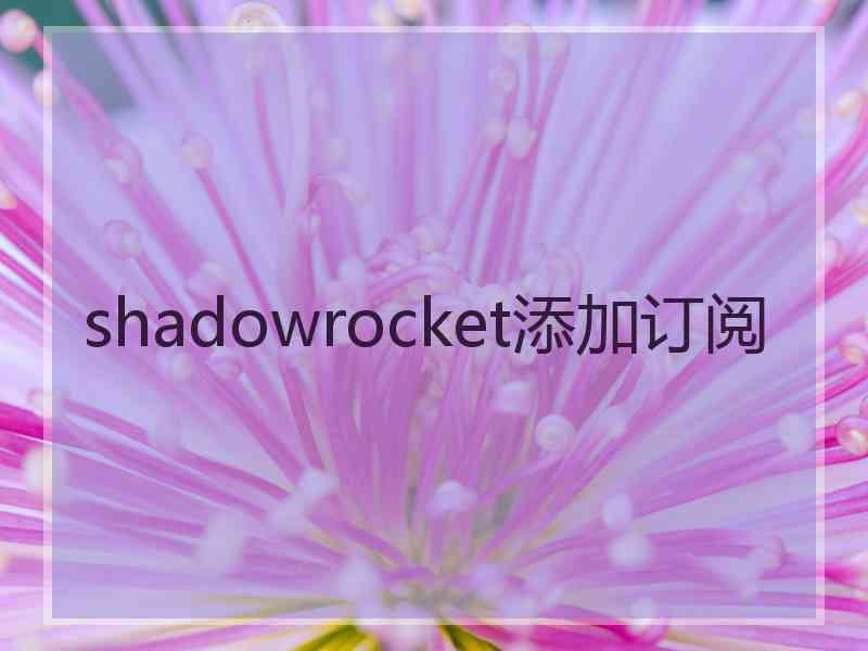 shadowrocket添加订阅